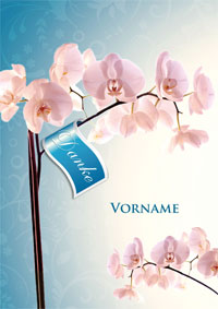 rosa Orchidee "Danke"