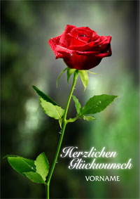 Glückwunsch mit roter Rose