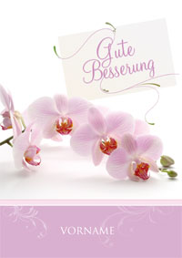 Gute Besserung, Orchidee