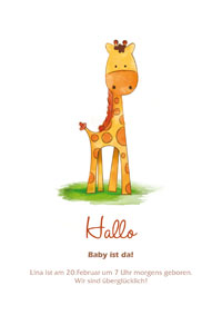 Baby-Giraffe