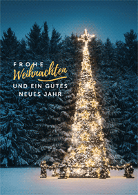 Frohe Weihnachten und ein gutes neues Jahr
